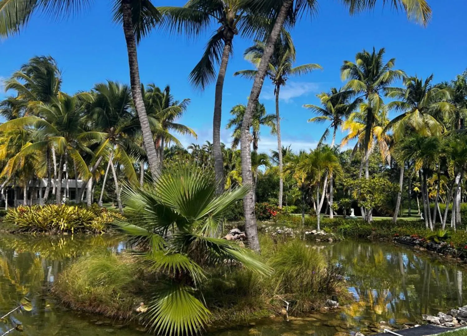 Cocotal Luxury Apartment On The Golf Course Punta Cana